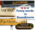 funny false friends in nordic languages